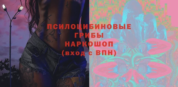 PSILOCYBIN Алзамай