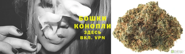 PSILOCYBIN Алзамай