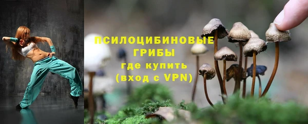 mix Алексин