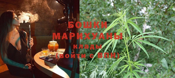 PSILOCYBIN Алзамай