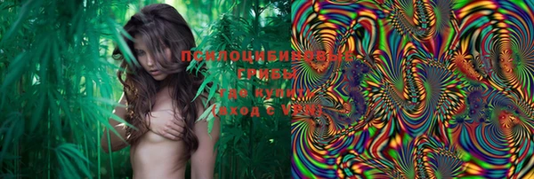 PSILOCYBIN Заволжск