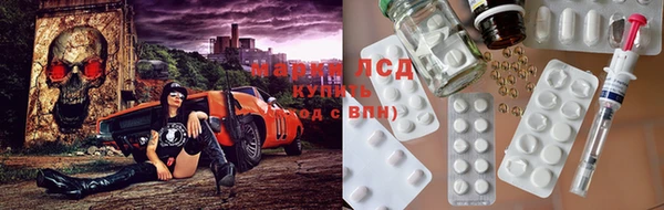 PSILOCYBIN Алзамай